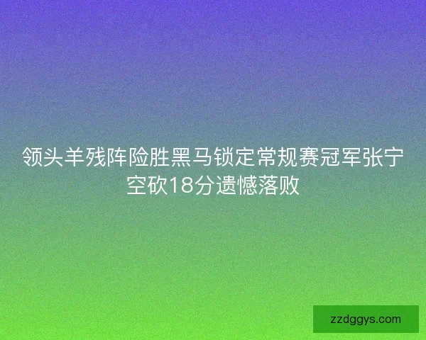 领头羊残阵险胜黑马锁定常规赛冠军张宁空砍18分遗憾落败